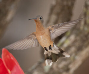 Boca de Camarones Guajira Colombia
