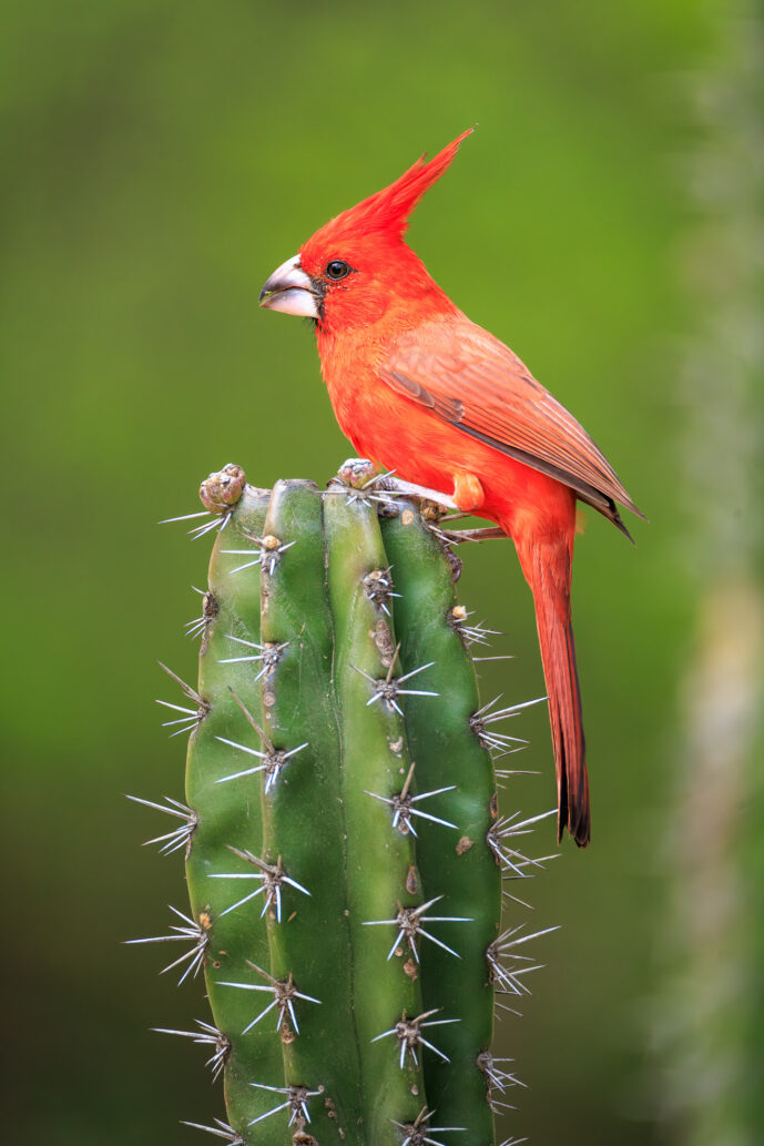Boca de Camarones Guajira Colombia