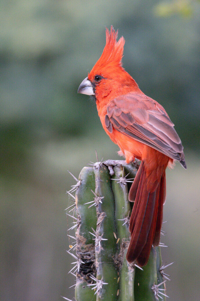 Boca de Camarones Guajira Colombia
