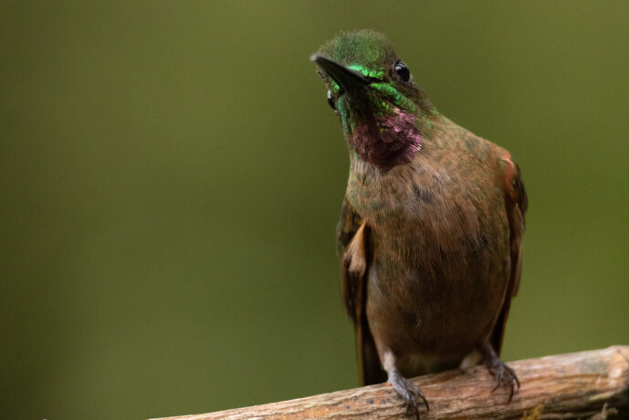 Dagua - Cali Valle Del Cauca Colombia
