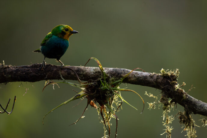 km18 Colombia Colombia