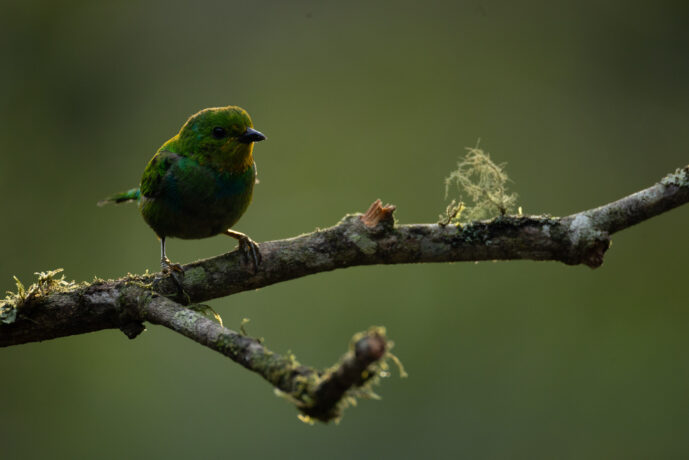 km18 Colombia Colombia