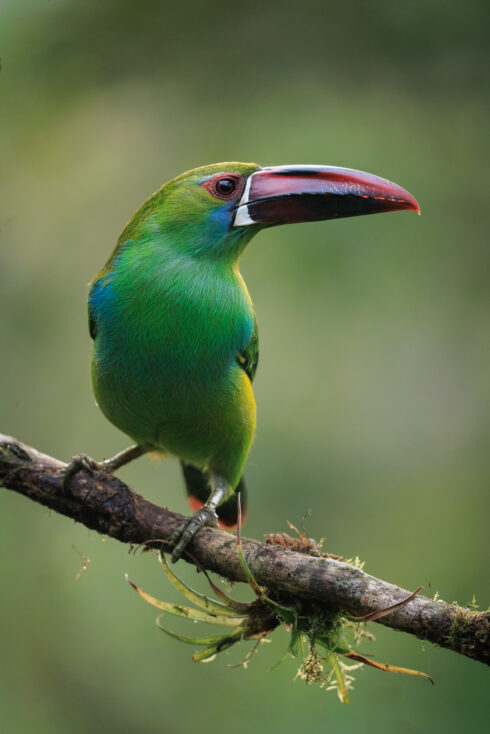 km18 Valle Del Cauca Colombia