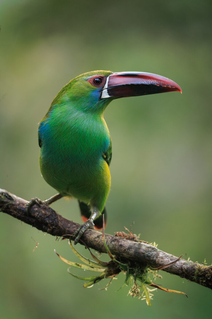 km18 Valle Del Cauca Colombia