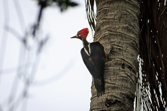 Parque Tayrona Magdalena Colombia