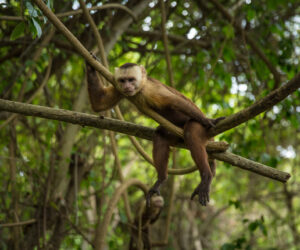 Parque Tayrona Magdalena Colombia