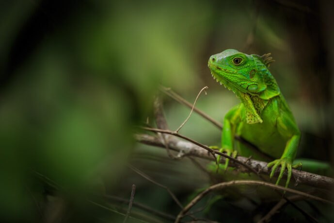 Parque Tayrona Magdalena Colombia
