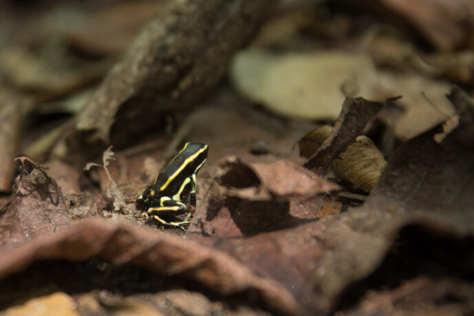 Parque Tayrona Magdalena Colombia