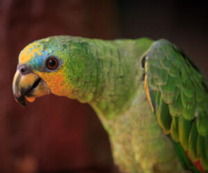 Parque Tayrona Magdalena Colombia