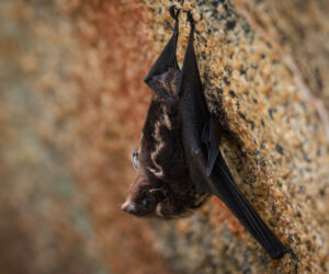 Tayrona Park Magdalena Colombia