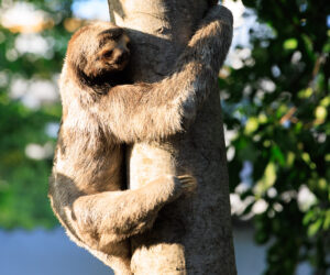 Cartagena Bolivar Colombia