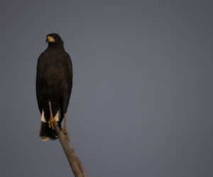 Mompox Bolivar Colombia