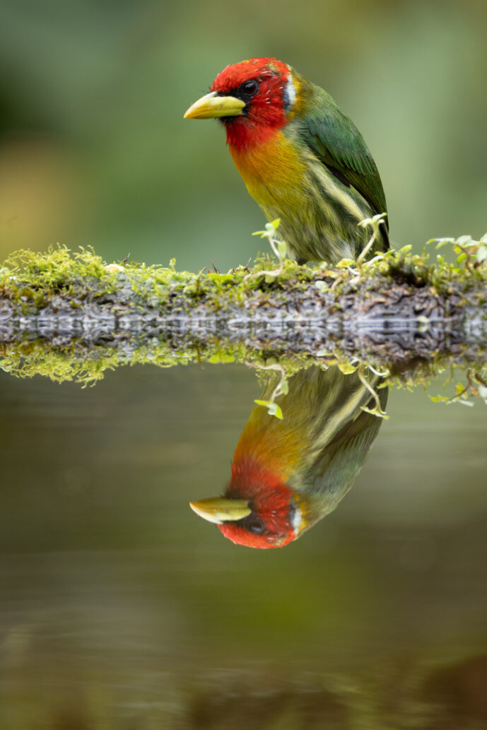 Dagua - Km18 Valle Del Cauca Colombia