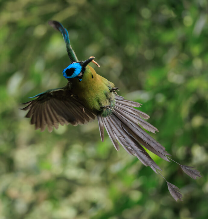 Dagua - Km18 Valle Del Cauca Colombia