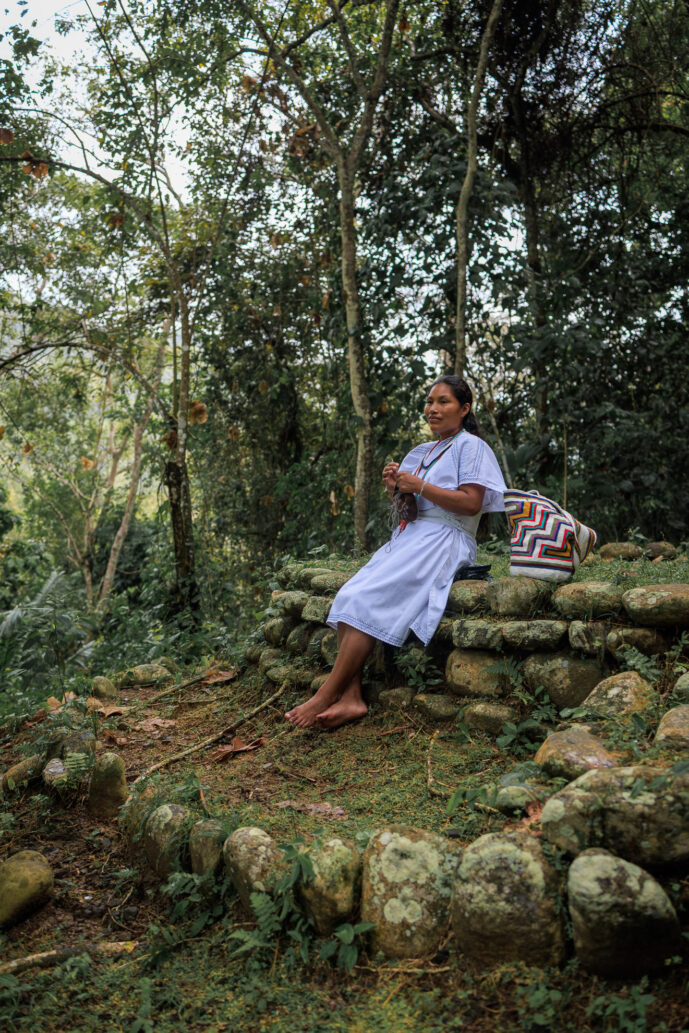Don Diego Magdalena Colombia