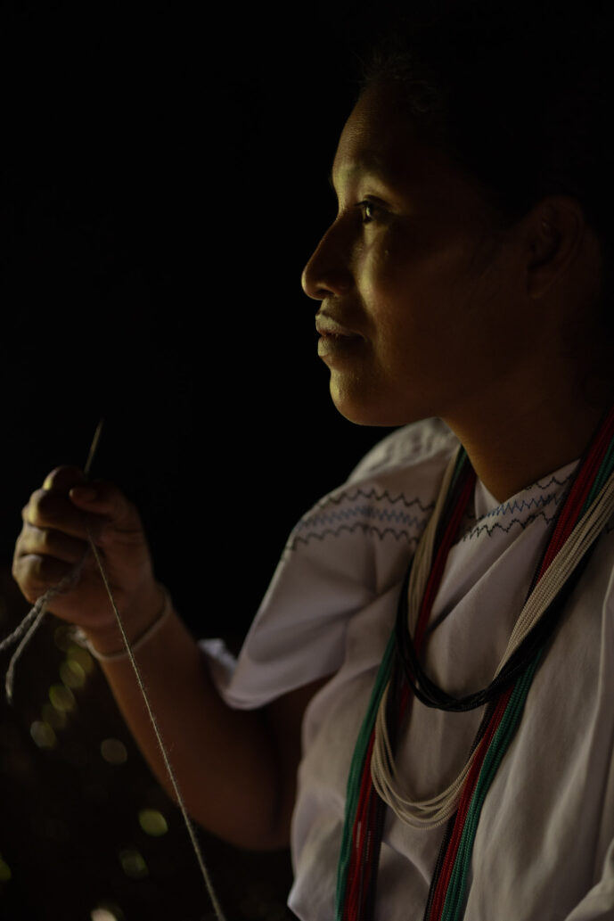 Don Diego Magdalena Colombia