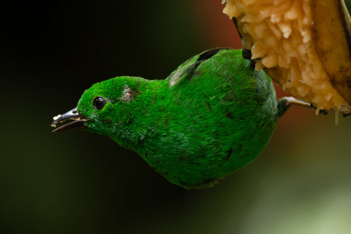 km58 Valle Del Cauca Colombia