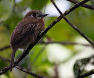 km58 Valle Del Cauca Colombia
