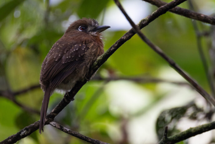 km58 Valle Del Cauca Colombia
