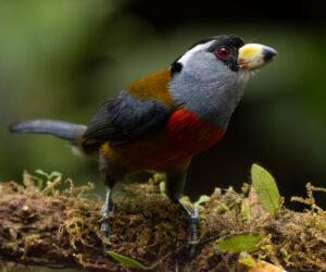 km58 Valle Del Cauca Colombia