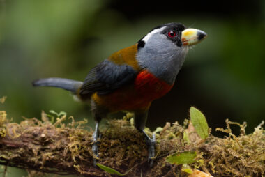 km58 Valle Del Cauca Colombia