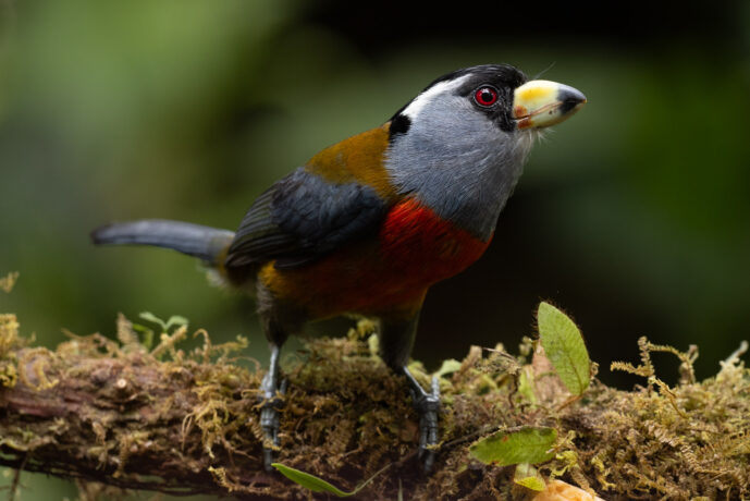 km58 Valle Del Cauca Colombia