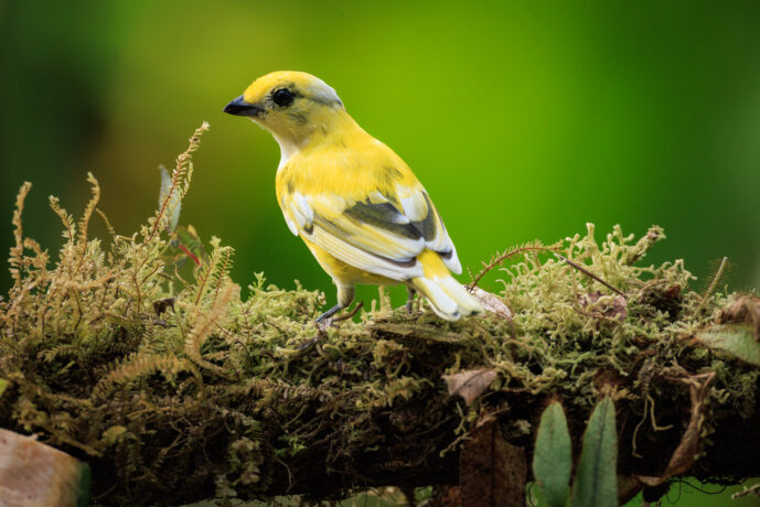 km58 Valle Del Cauca Colombia