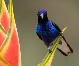 km58 Valle Del Cauca Colombia