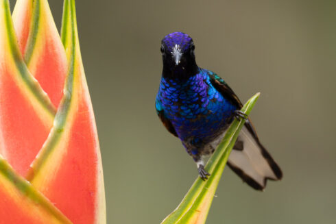 km58 Valle Del Cauca Colombia