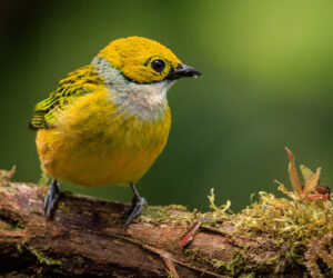 km58 Valle Del Cauca Colombia