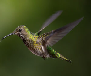 km58 Valle Del Cauca Colombia