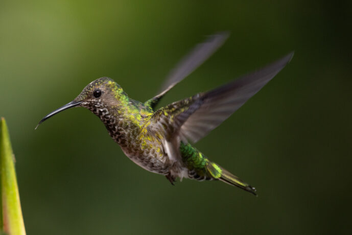 km58 Valle Del Cauca Colombia