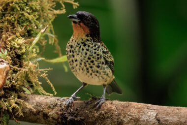 km58 Valle Del Cauca Colombia