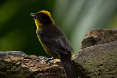 km58 Valle Del Cauca Colombia