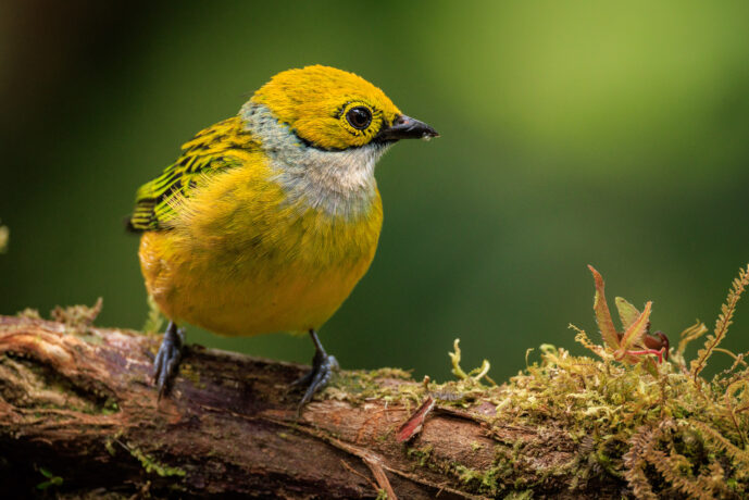 km58 Valle Del Cauca Colombia