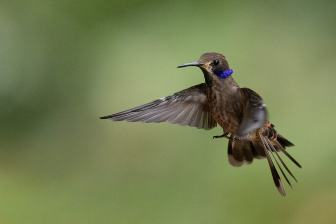 Dagua (Cali) Valle Del Cauca Colombia