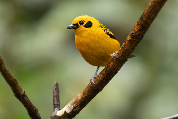 Dagua (Cali) Valle Del Cauca Colombia