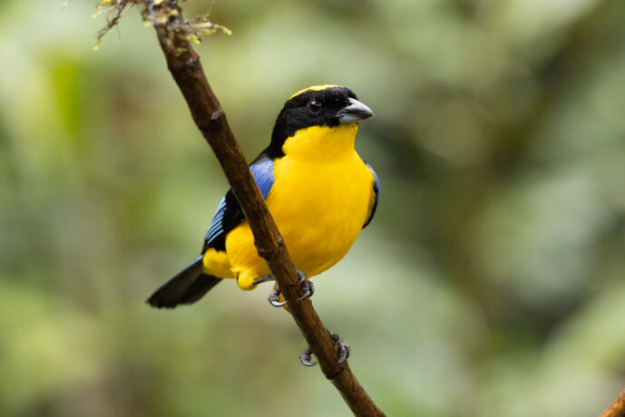 Dagua (Cali) Valle Del Cauca Colombia