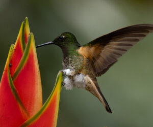 km18 Valle Del Cauca Colombia
