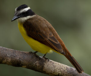 km18 Valle Del Cauca Colombia