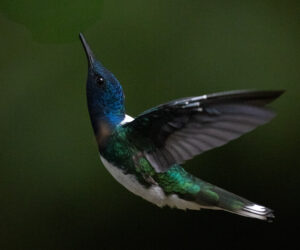Cali Valle Del Cauca Colombia