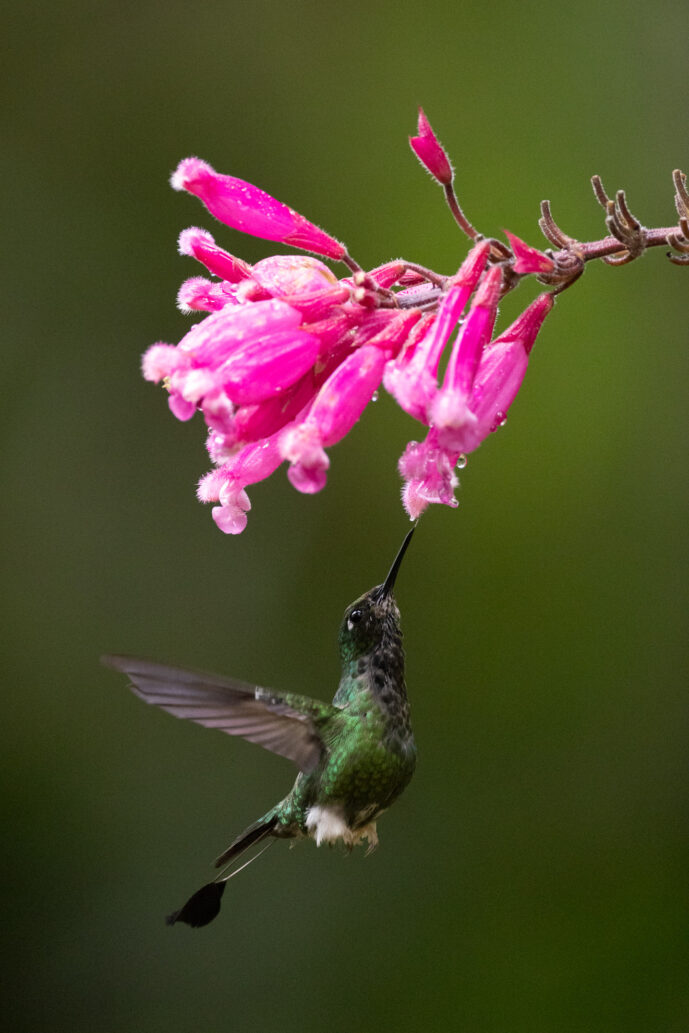 Cali Valle Del Cauca Colombia