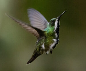 Cali Valle Del Cauca Colombia