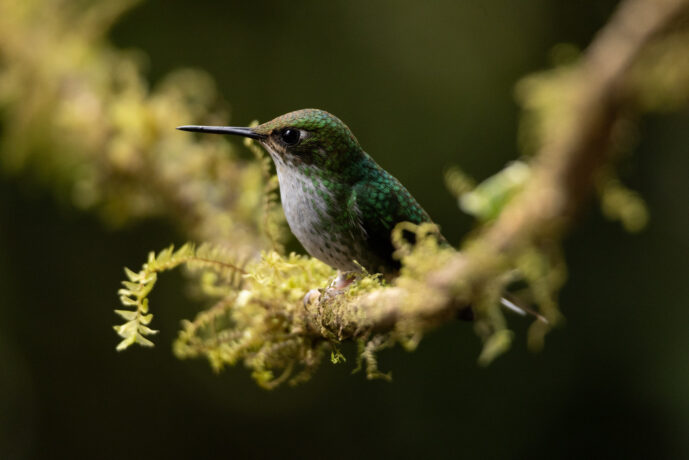Cali Valle Del Cauca Colombia
