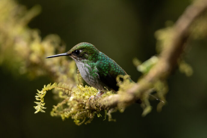 Cali Valle Del Cauca Colombia
