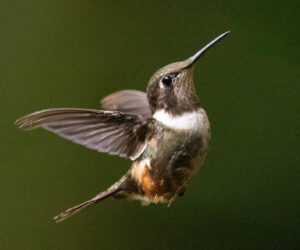 Cali Valle Del Cauca Colombia