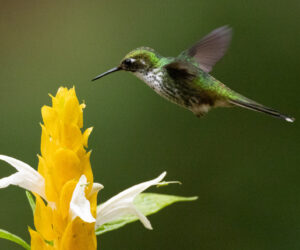 Cali Valle Del Cauca Colombia