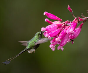 Cali Valle Del Cauca Colombia