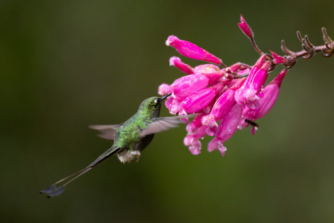 Cali Valle Del Cauca Colombia