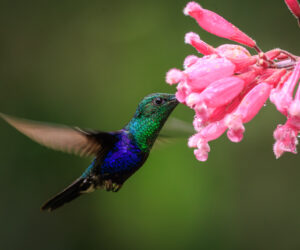 Cali Valle Del Cauca Colombia